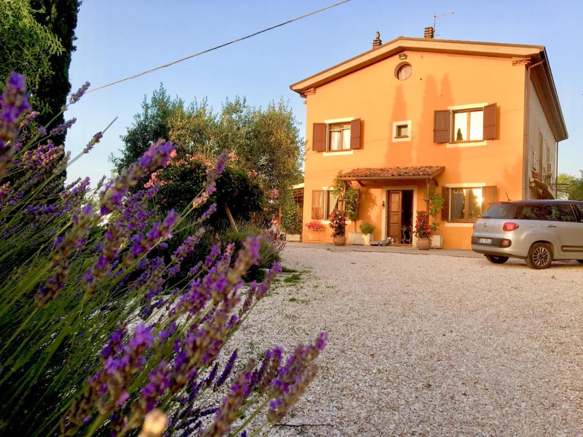 Locanda Della Lavanda ซานเกลเมนเต ภายนอก รูปภาพ